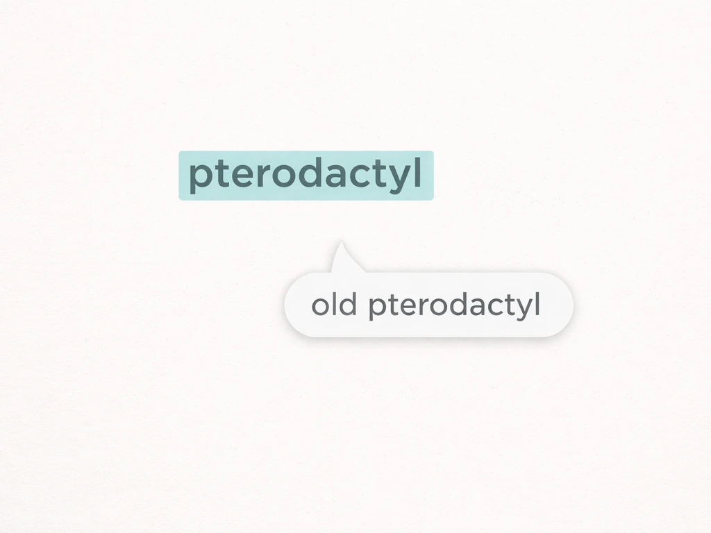 Minimal graphic-style layout showing slang phrase callout about an “old pterodactyl.”